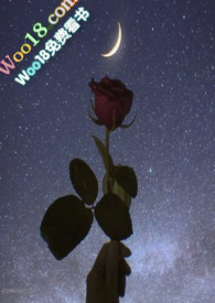 一枚硬币抛6次正面朝上的概率